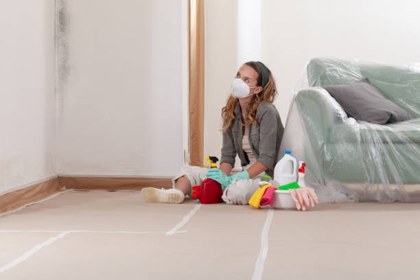 Reliable Mold Cleanup contractor in Colonia, NJ by Cheap Mold Removal